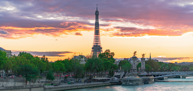 Professional Tour Consultant